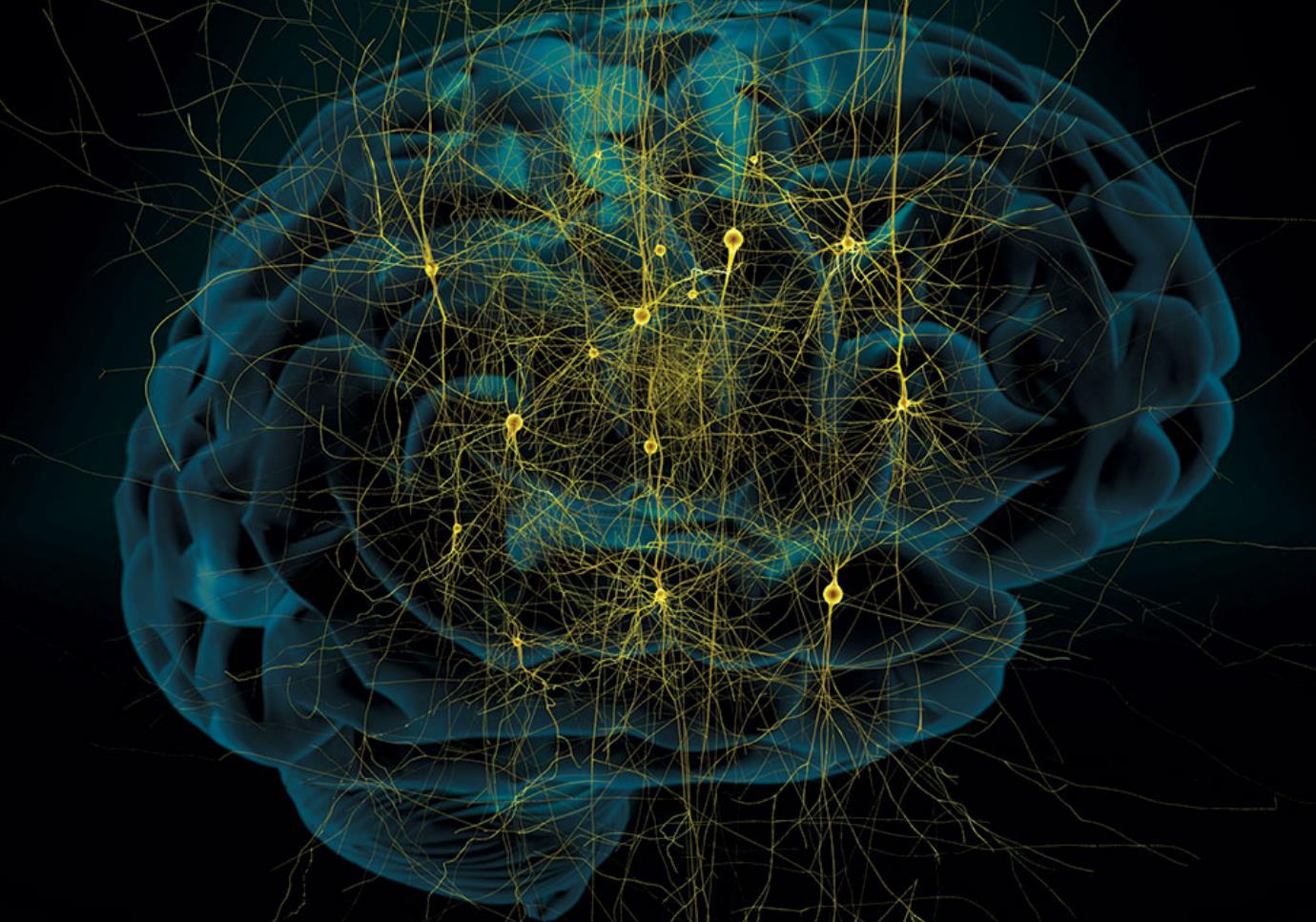 人类大脑和宇宙有什么联系--探究人类大脑与宇宙之间的奇妙联系