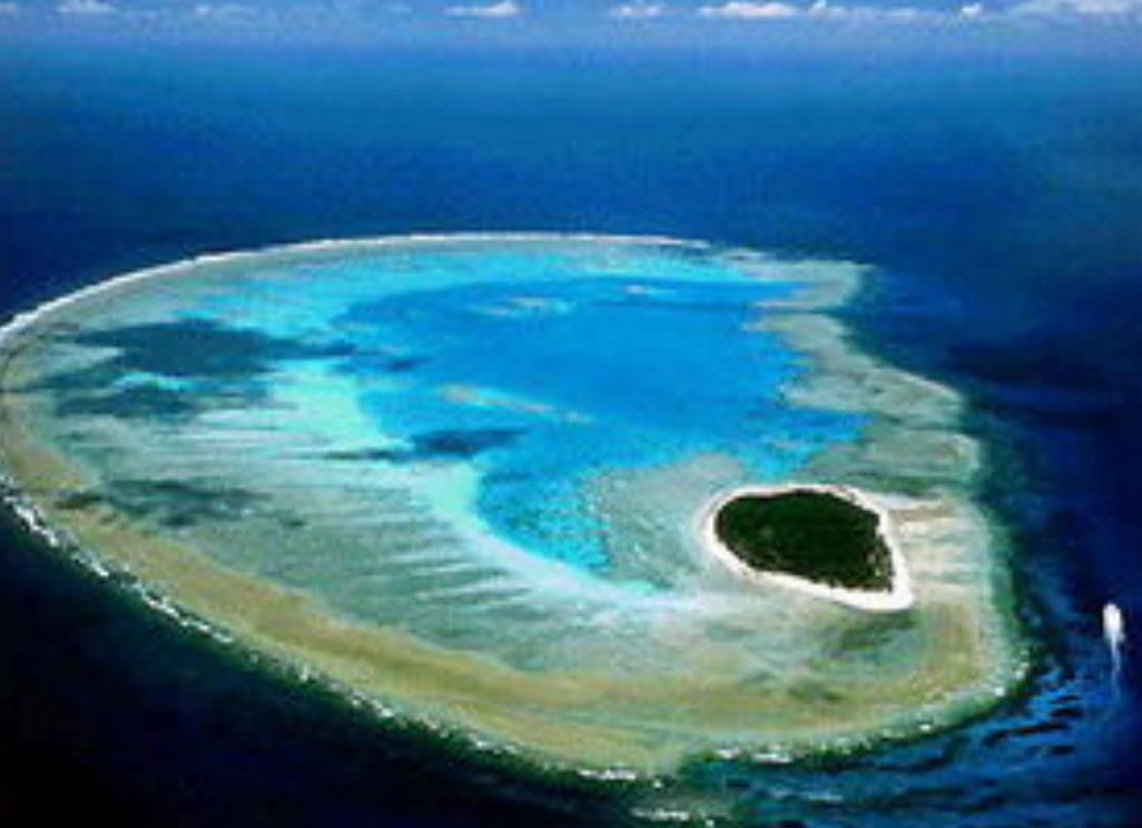 世界上最大的珊瑚礁——大堡礁 